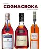 Omslagsbilde:Cognacboka : en guide til cognac