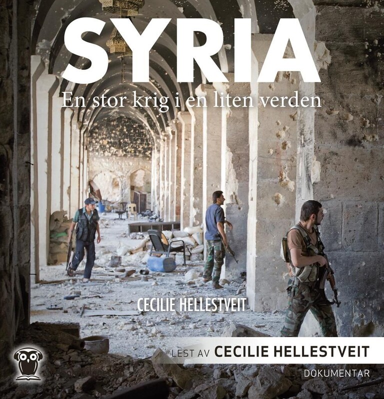 Syria : en stor krig i en liten verden