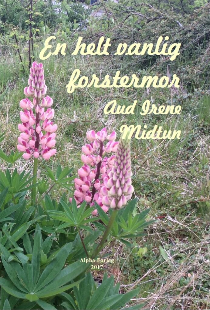 Forsidebilde