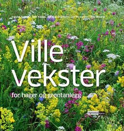 forsidebilde - trykk for å vise stor versjon