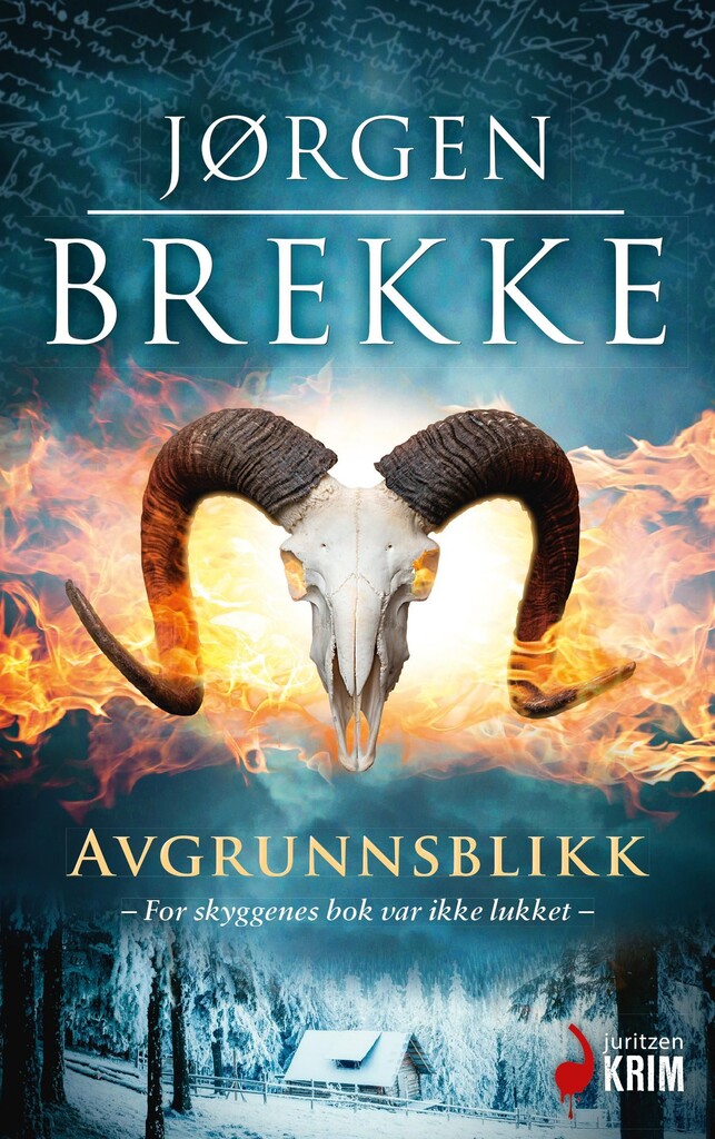Avgrunnsblikk : kriminalroman