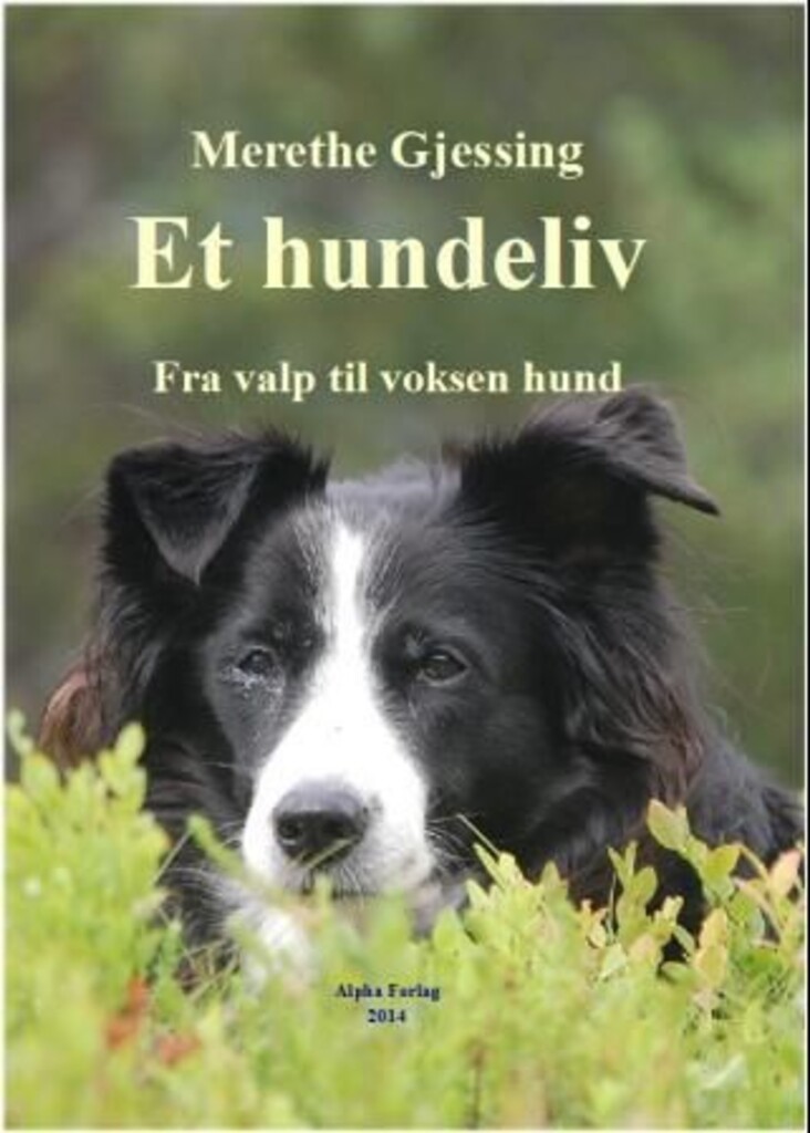 Forsidebilde