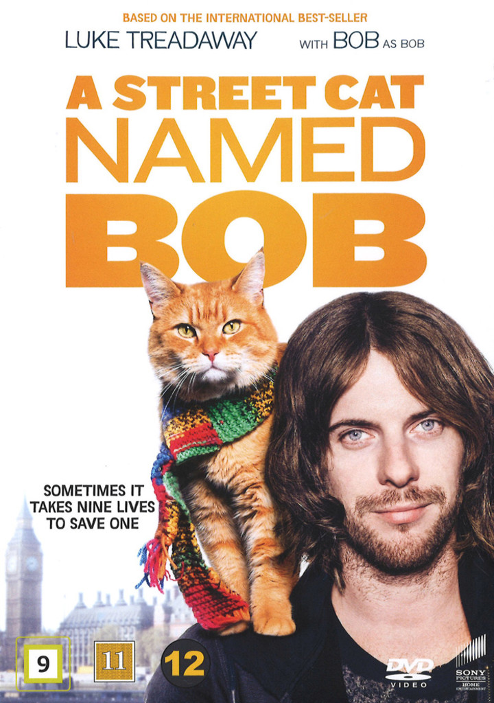 A Street cat named Bob