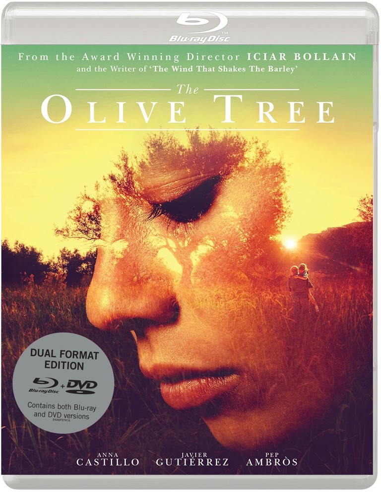 The Olive tree