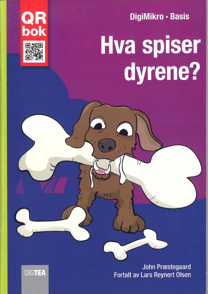Forsidebilde