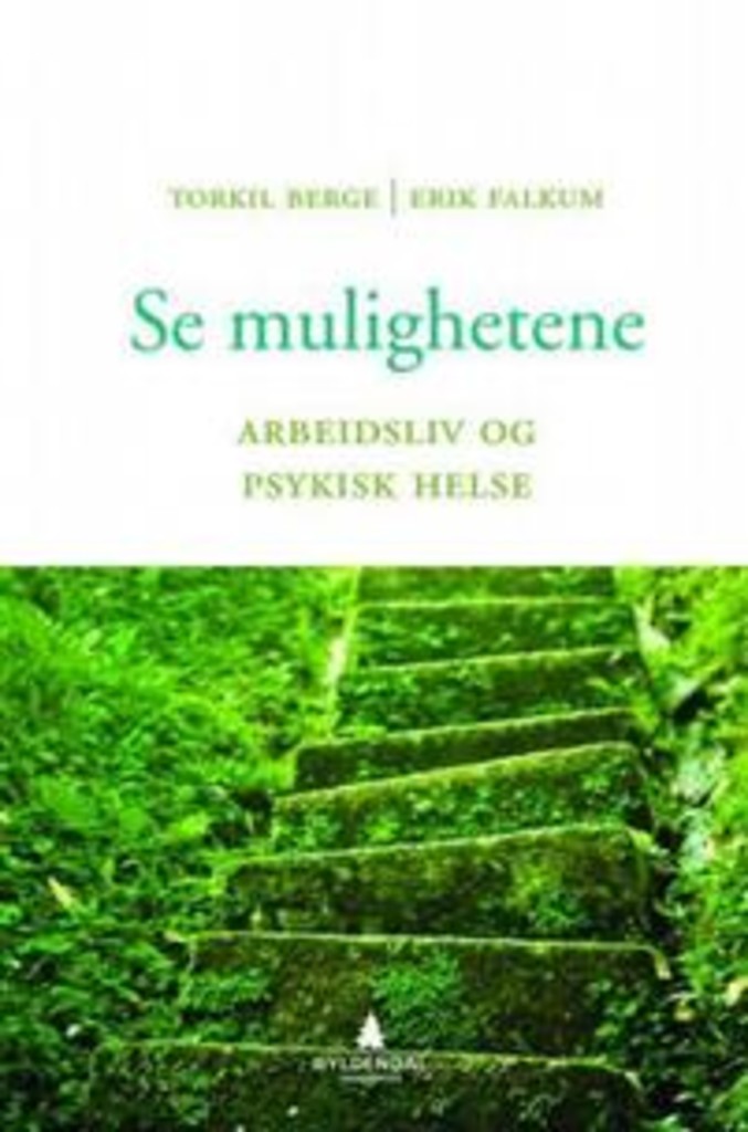 Se mulighetene : arbeidsliv og psykisk helse