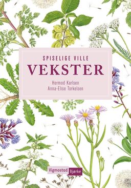 forsidebilde - trykk for å vise stor versjon