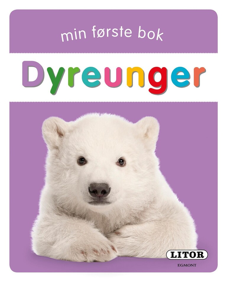 Forsidebilde