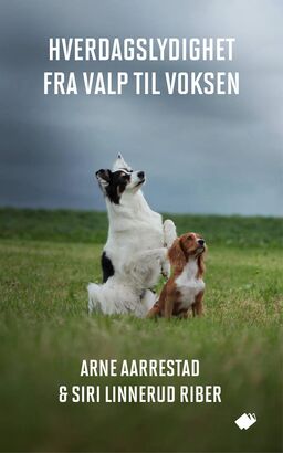 forsidebilde - trykk for å vise stor versjon