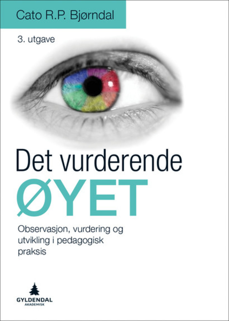 Det vurderende øyet - observasjon, vurdering og utvikling i undervisning og veiledning