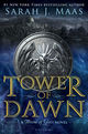 Omslagsbilde:Tower of dawn