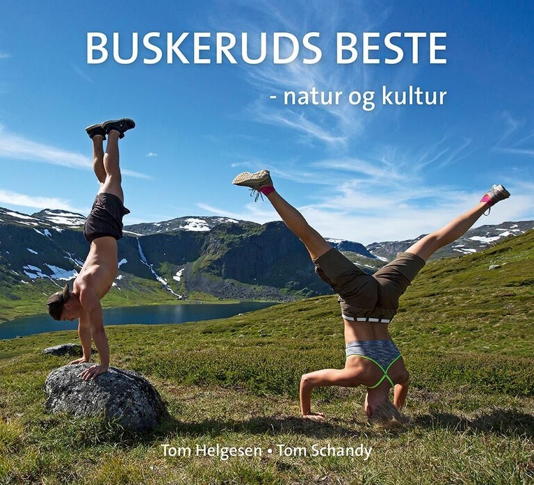 Buskeruds beste : natur og kultur