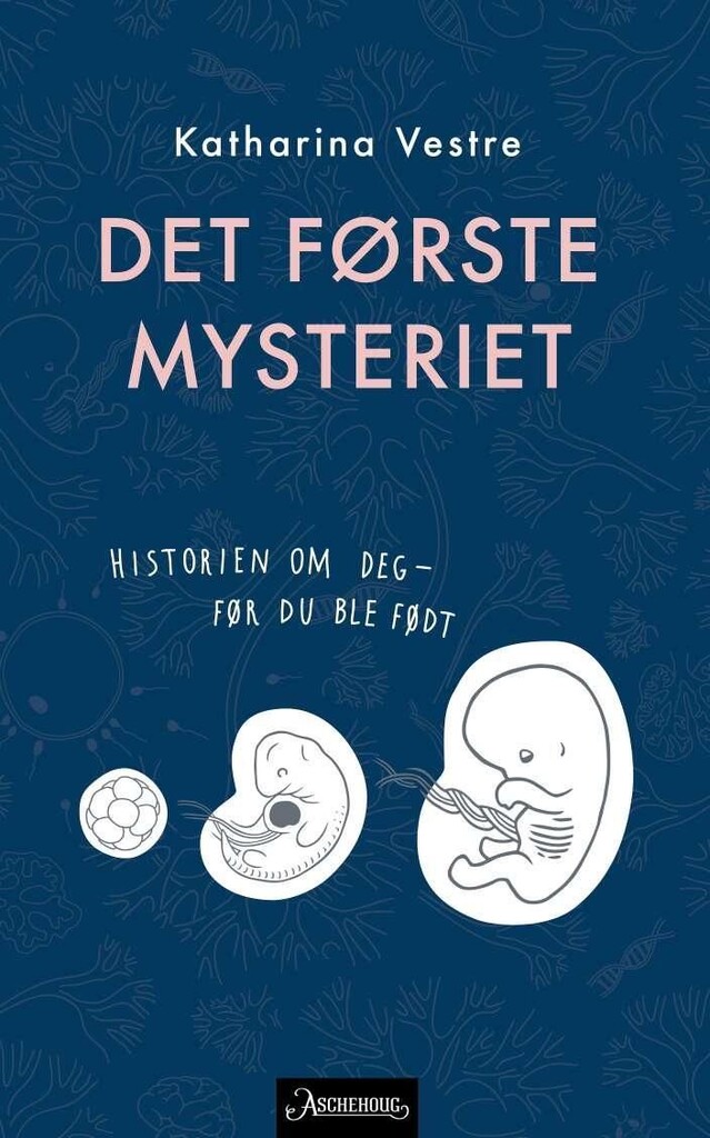Forsidebilde
