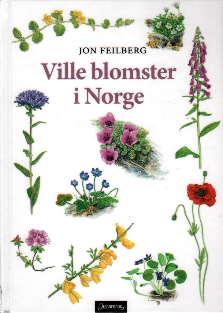 Forsidebilde