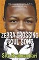 Omslagsbilde:Zebra Crossing Soul Song