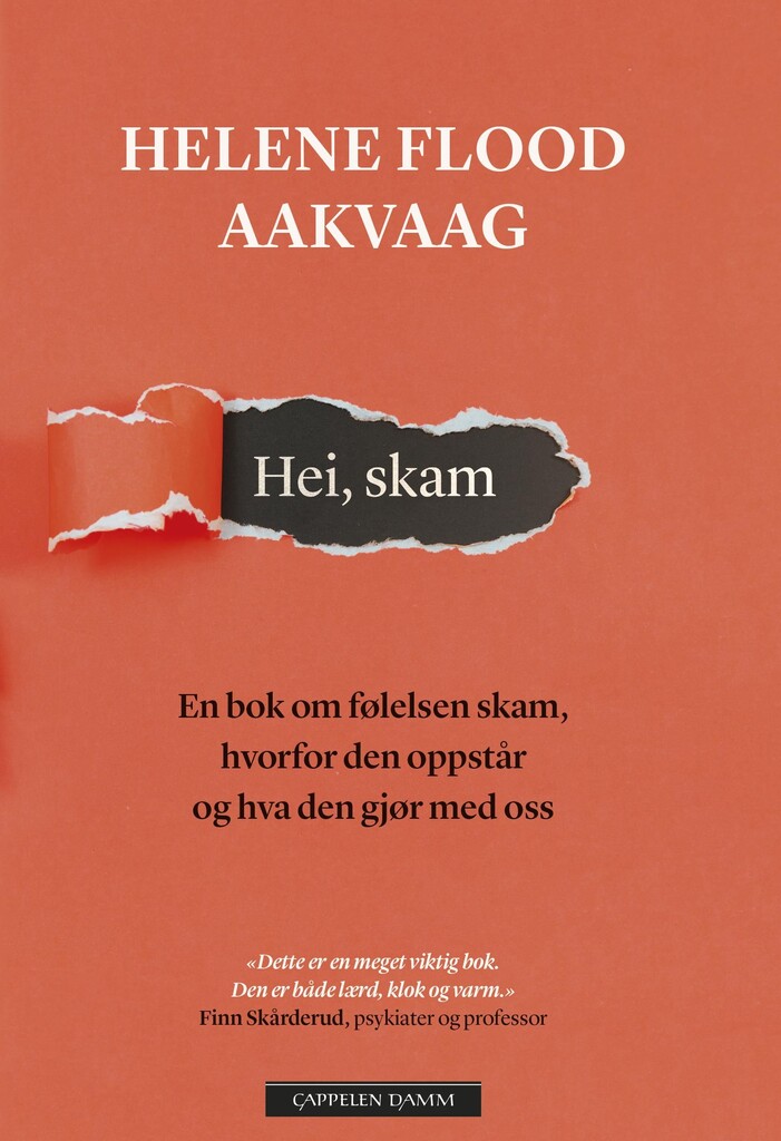 Hei, skam : en bok om følelsen skam, hvorfor den oppstår og hva den gjør med oss