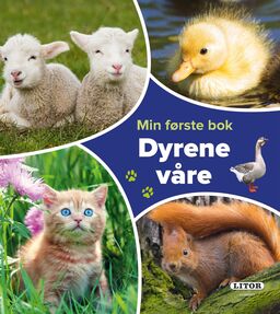 forsidebilde - trykk for å vise stor versjon