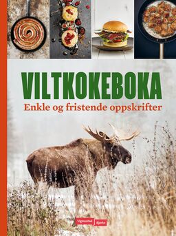 forsidebilde - trykk for å vise stor versjon