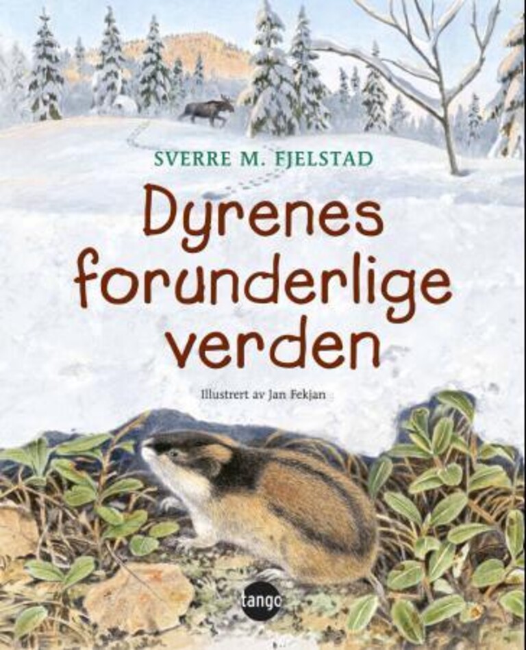 Forsidebilde