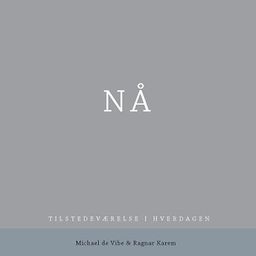 Oppmerksomt nærvær michael de vibe