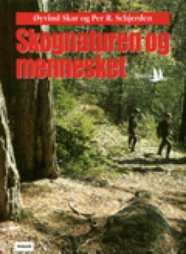 Forsidebilde