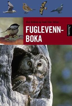 forsidebilde - trykk for å vise stor versjon