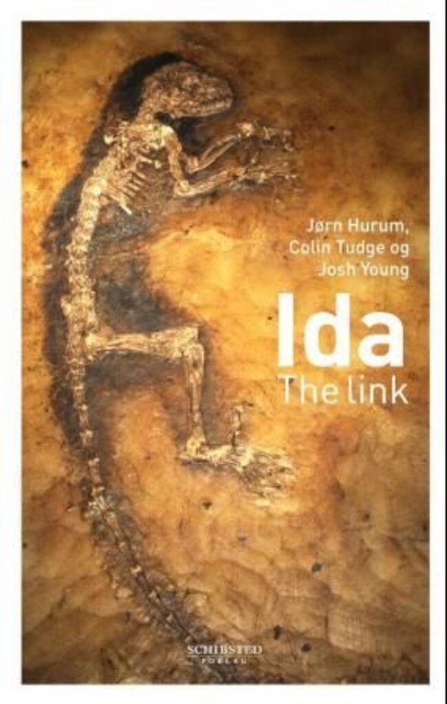 Ida : the link