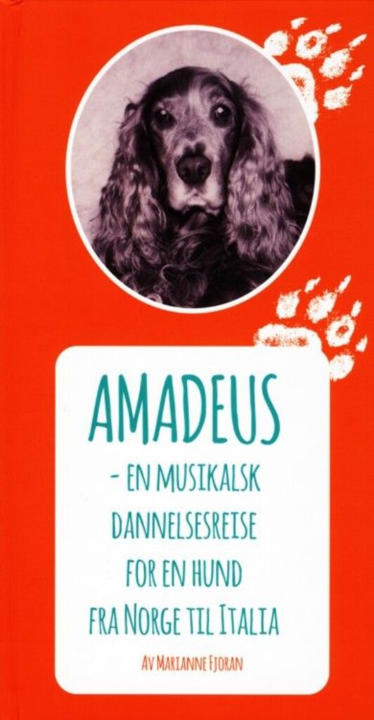 Forsidebilde