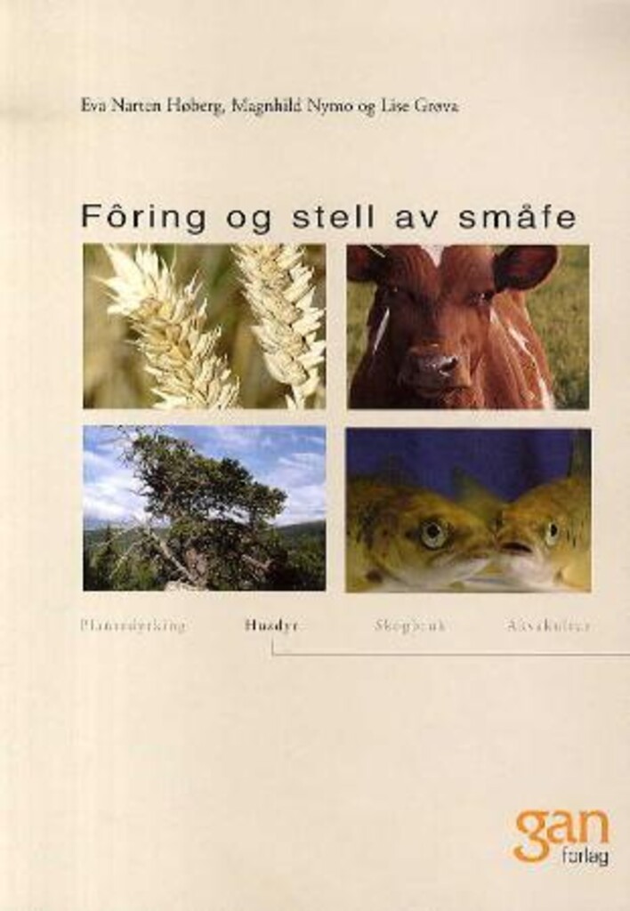 Forsidebilde