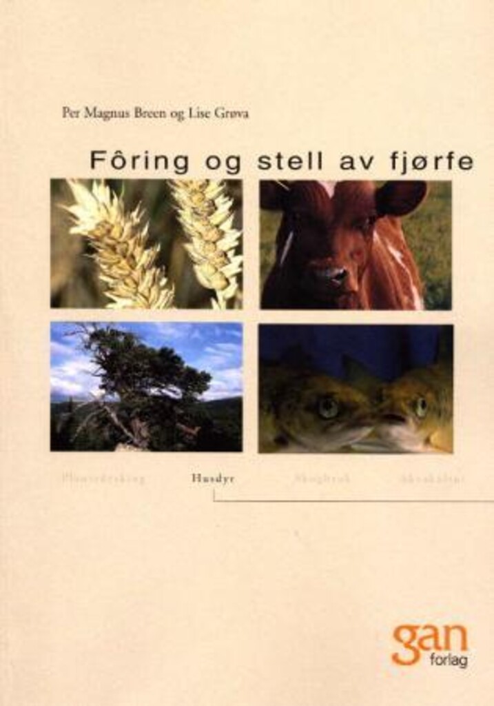 Forsidebilde