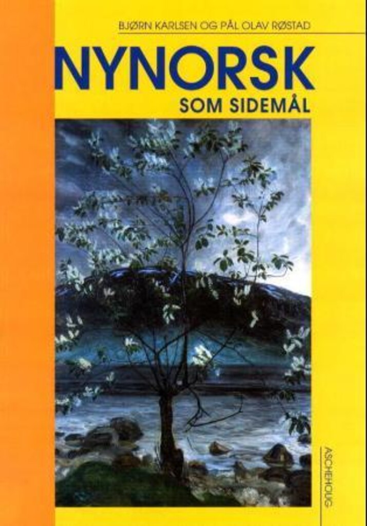 Forsidebilde