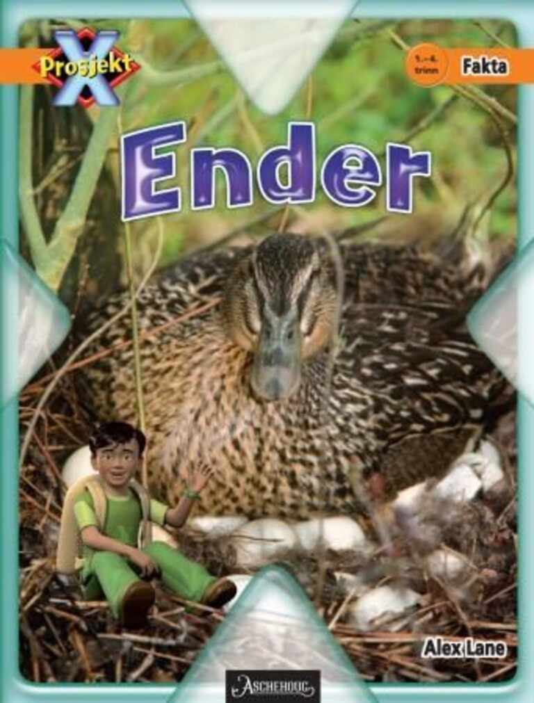 Forsidebilde