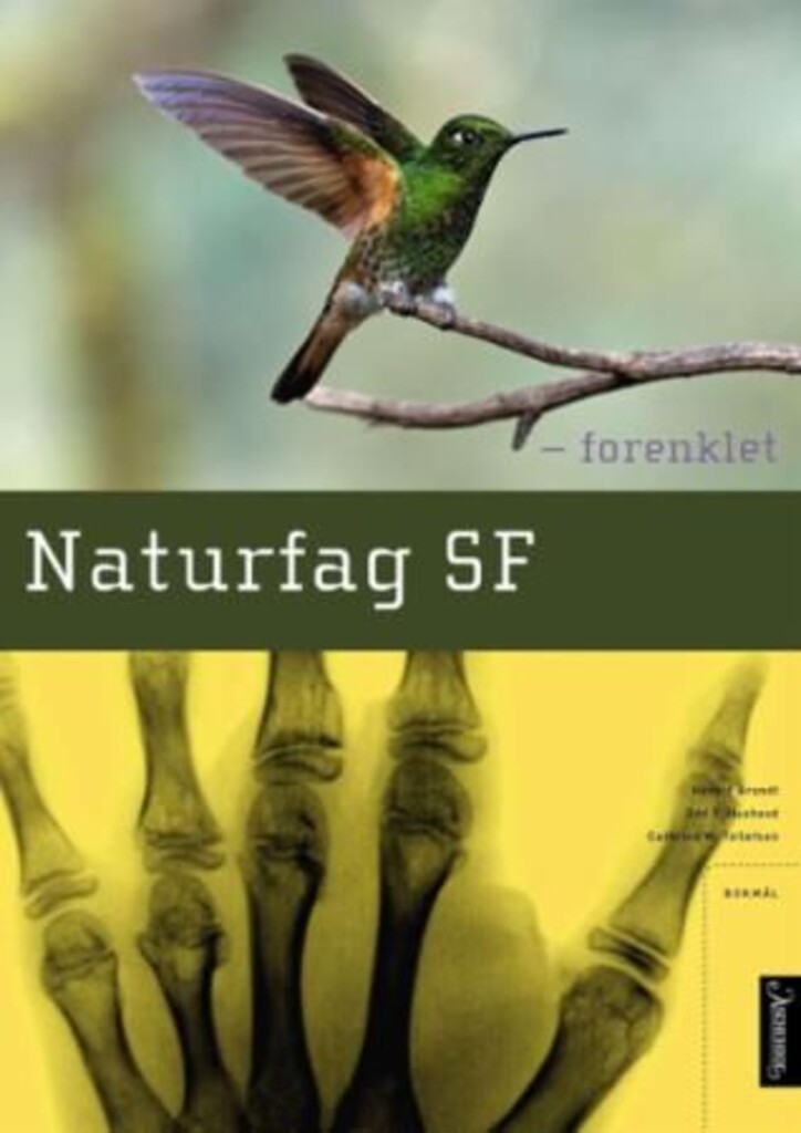 Forsidebilde