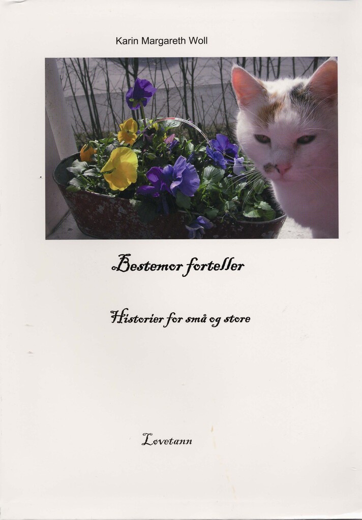 Forsidebilde