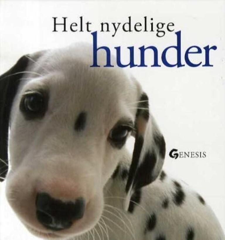 Forsidebilde