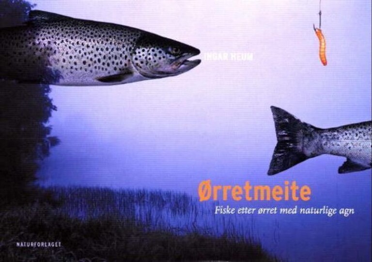 Forsidebilde