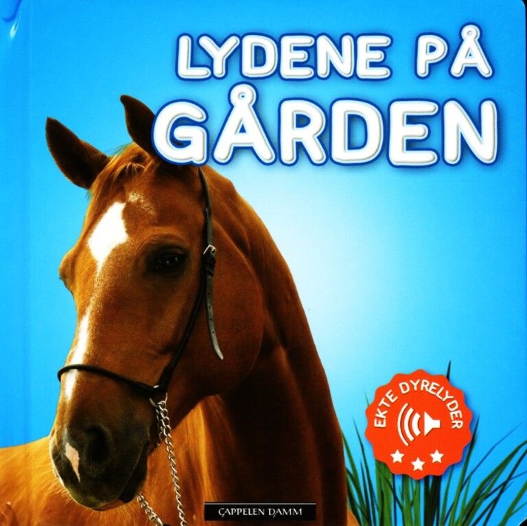 Forsidebilde