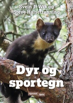 forsidebilde - trykk for å vise stor versjon