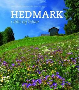 forsidebilde - trykk for å vise stor versjon