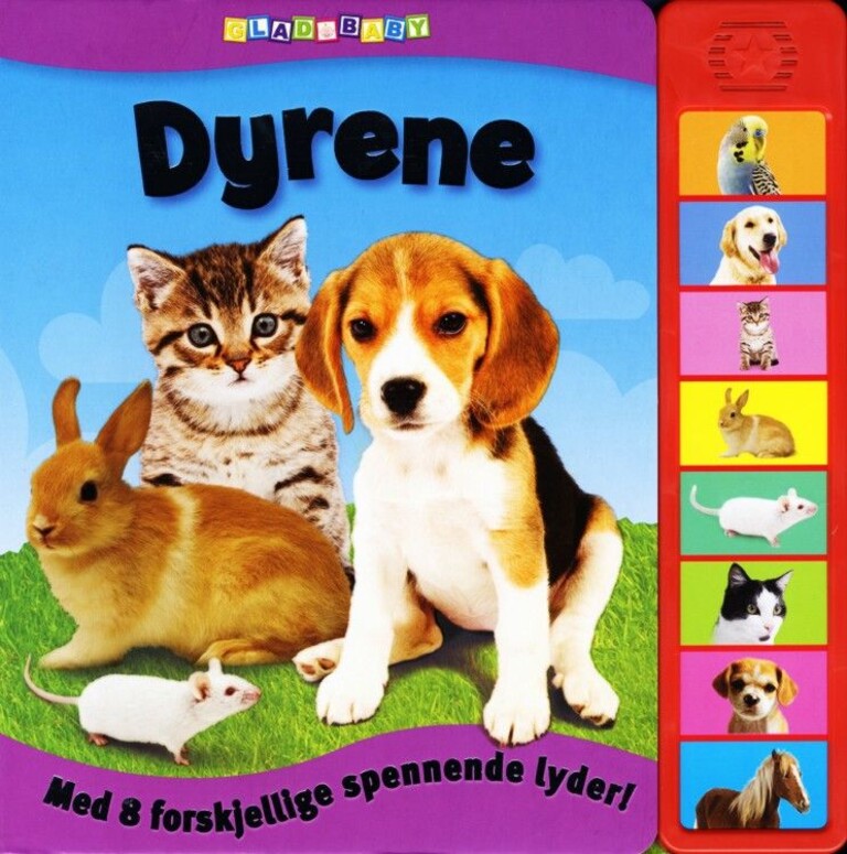 Forsidebilde