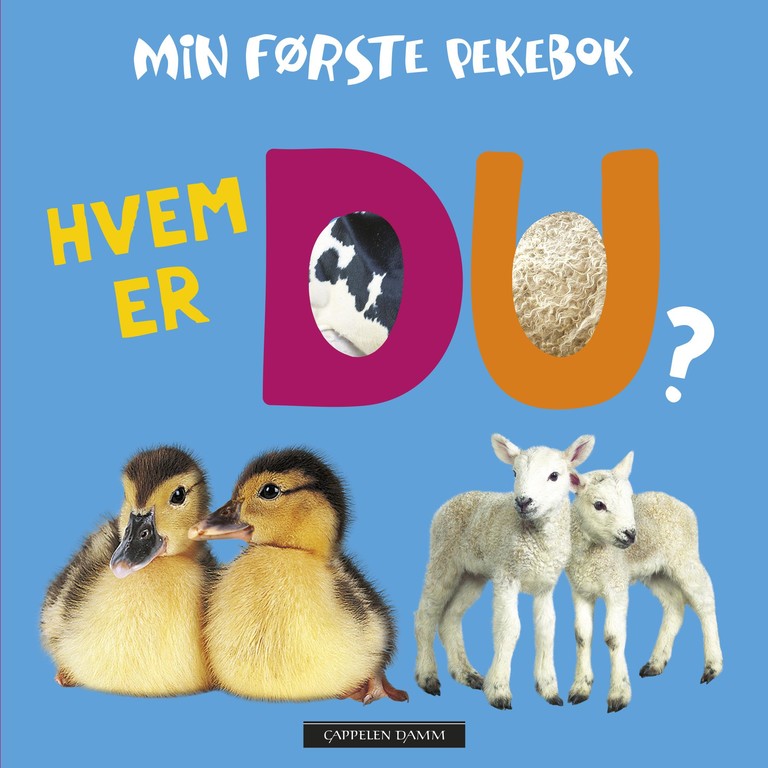 Forsidebilde