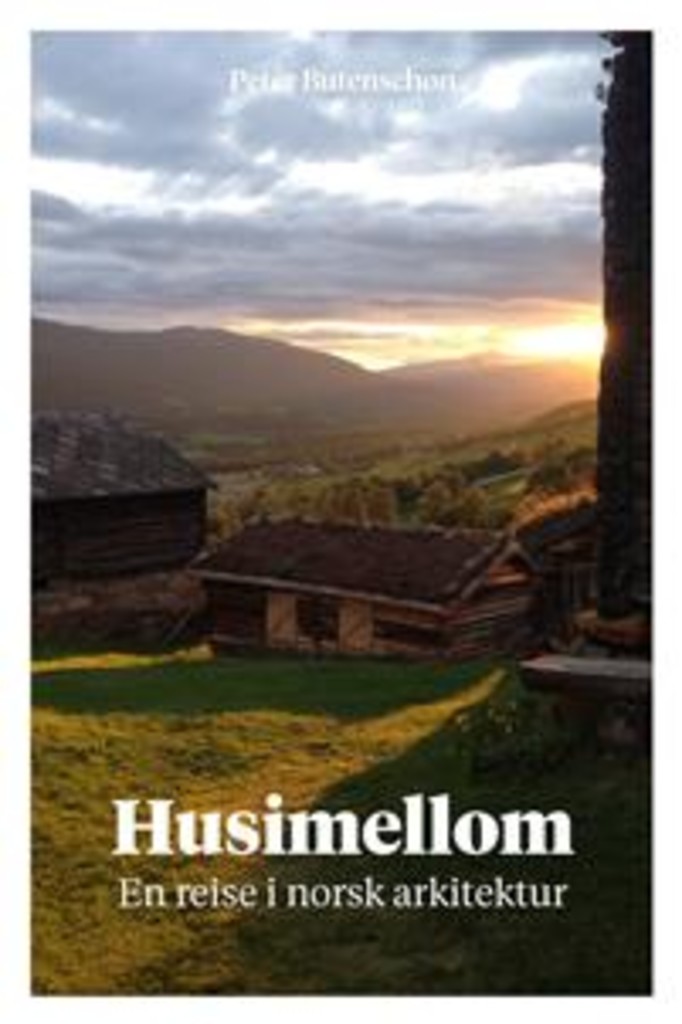 Husimellom : en reise i norsk arkitektur