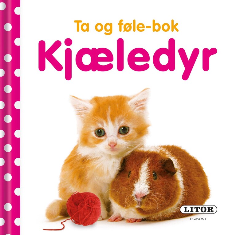 Forsidebilde