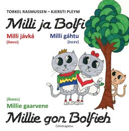 forsidebilde - trykk for å vise stor versjon