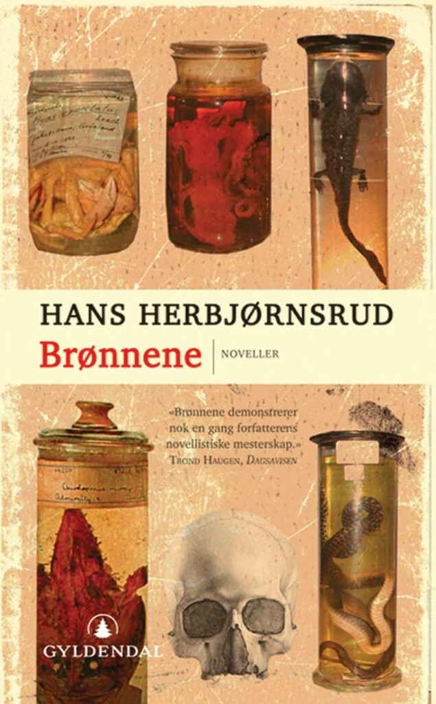 Forsidebilde