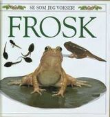 Forsidebilde
