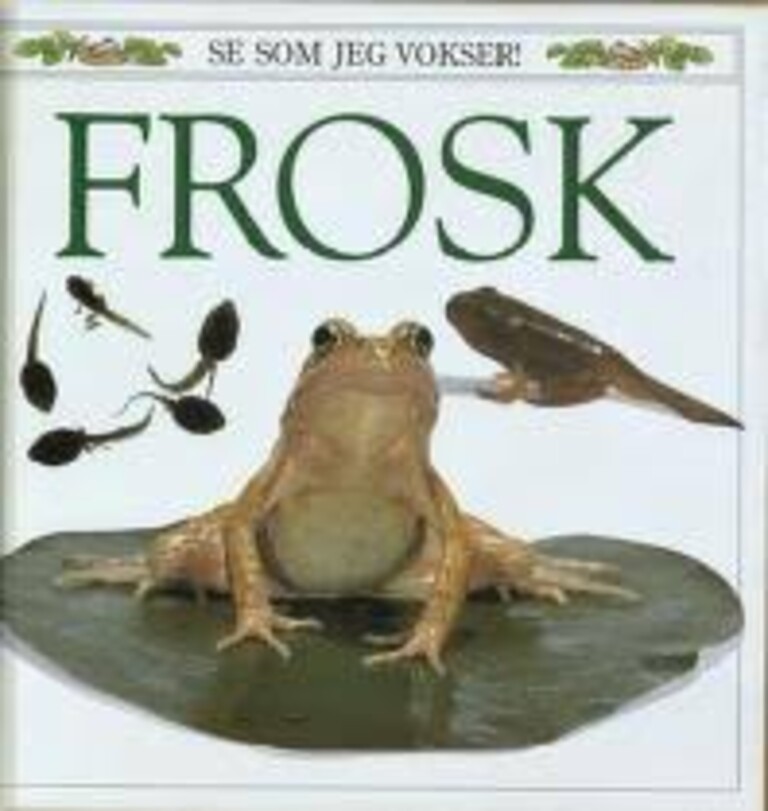 Forsidebilde
