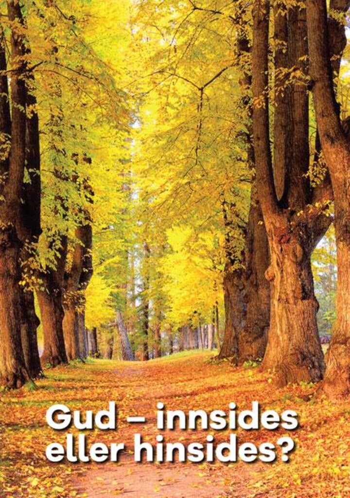Forsidebilde