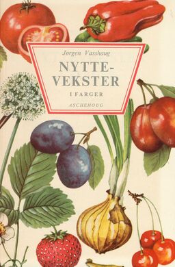 forsidebilde - trykk for å vise stor versjon