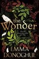Cover photo:The wonder